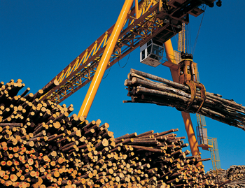 Off-Highway Logging